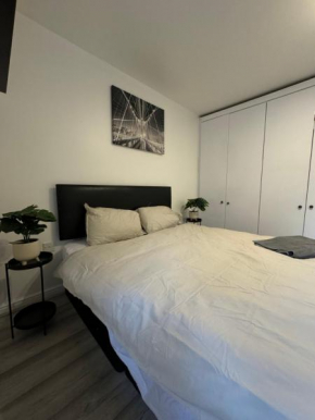 Spacious 3 bedroom Home, with private driveway 5 minutes from Excel Centre & Custom House